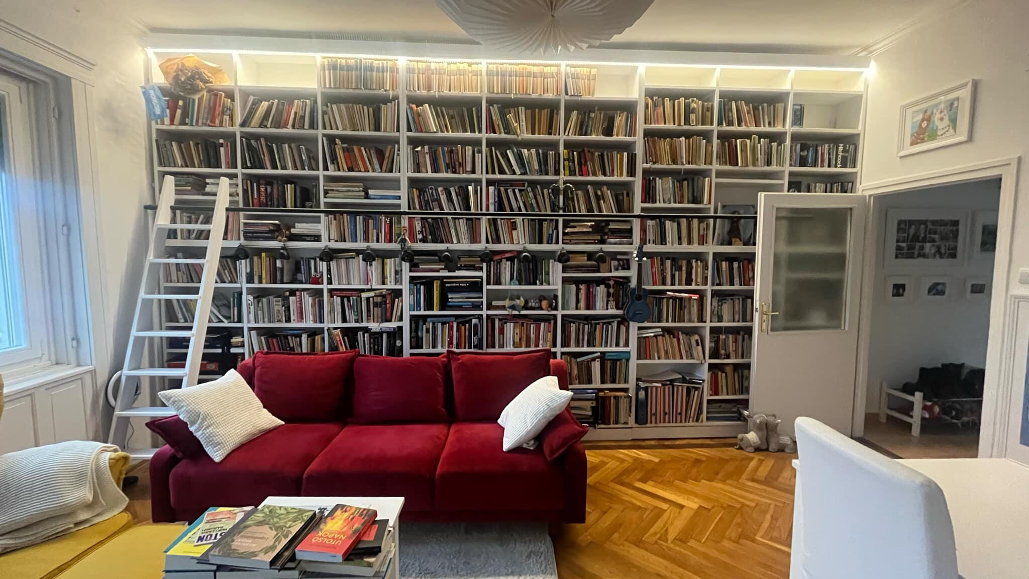 Home library with ladder